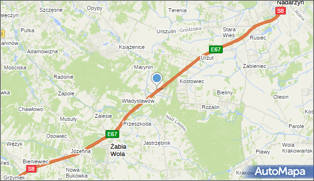 mapa Siestrzeń, Siestrzeń na mapie Targeo